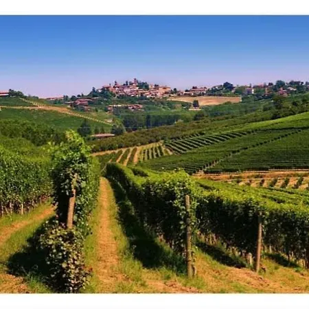 Maison Younesco - Indipendente Exclusive *