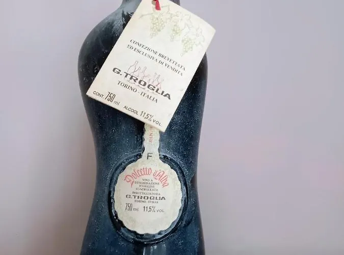 Maison Younesco - Indipendente Exclusive *