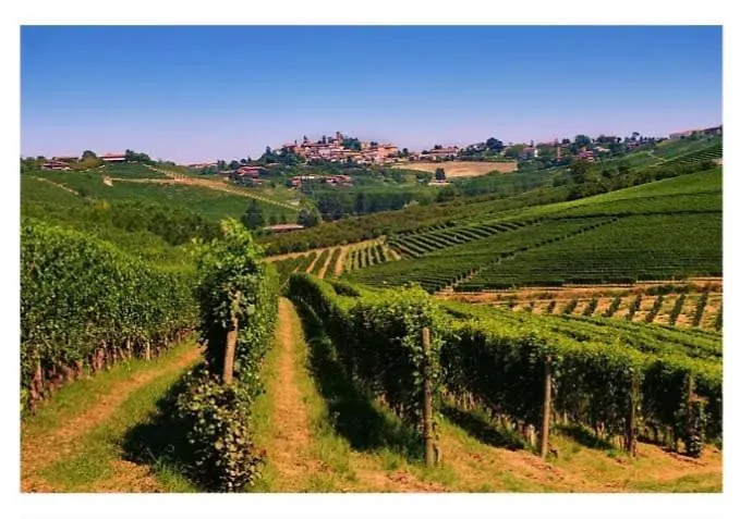 Maison Younesco - Indipendente Exclusive *