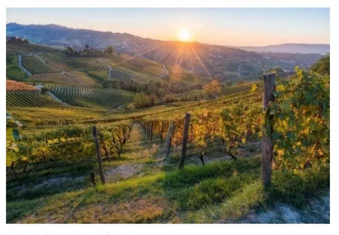 Maison Younesco - Indipendente Exclusive